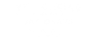Daytona 73
