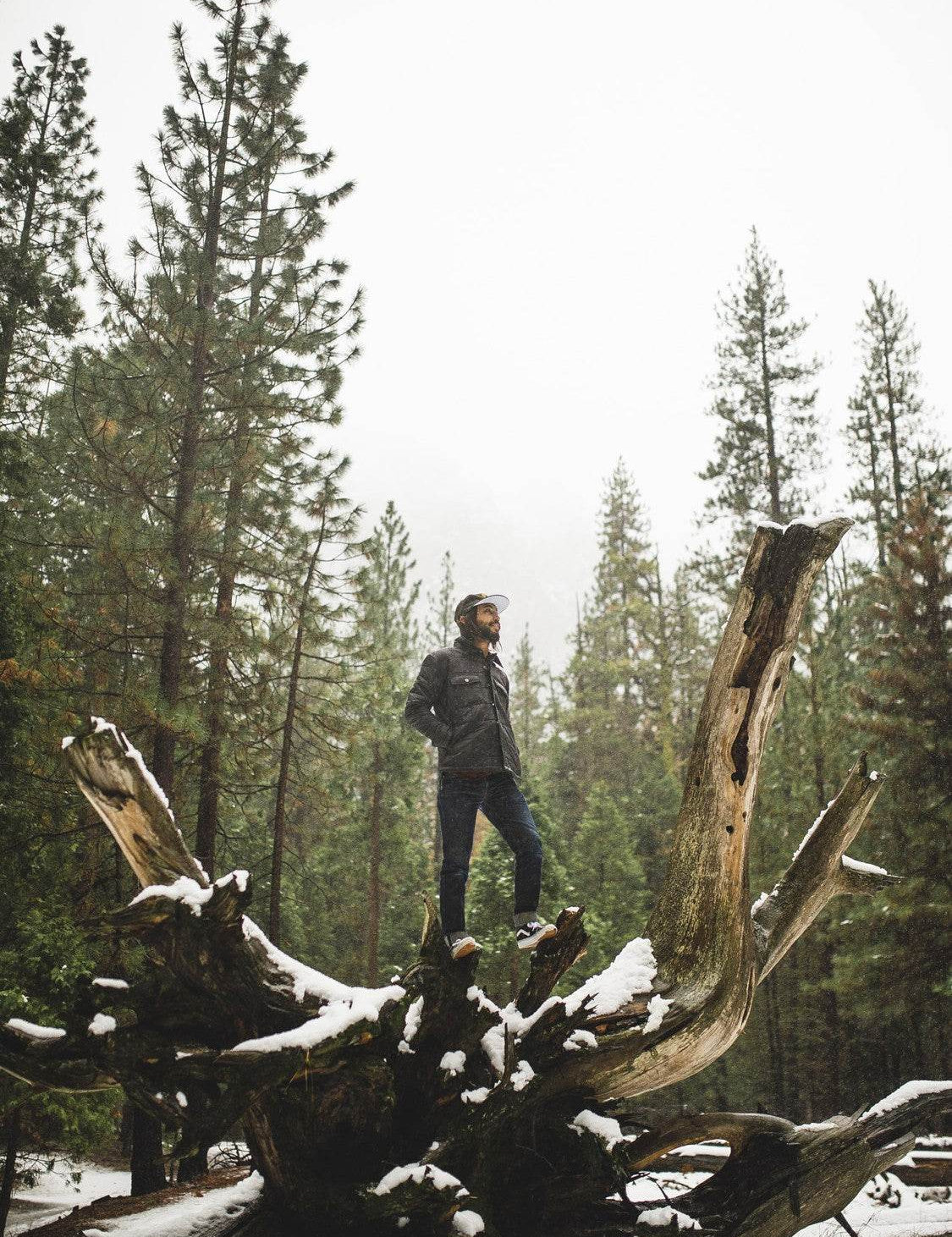 Man stands on a snow-covered fallen tree in a forest, surrounded by tall pine trees under a cloudy sky, wearing a jacket and hat.